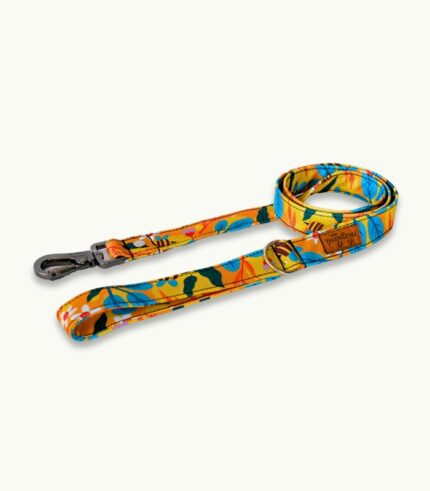 Super Correa de paseo para perros | Natura