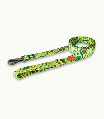 Super Correa de paseo para perros | Paltosa