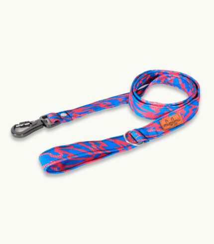 Super Correa de paseo para perros | Paw-Fit