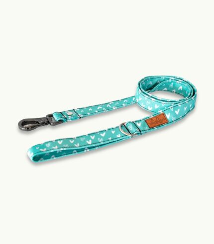 Super Correa de paseo para perros | Crush Mint