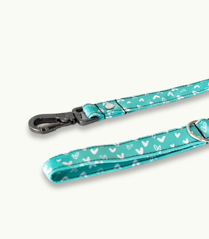 CORREA DE PASEO CRUSH MINT ZOOM Super Correa de paseo para perros | Crush Mint - Imagen 2