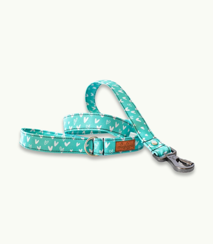 CORREA DE PASEO CRUSH MINT Super Correa de paseo para perros | Crush Mint - Imagen 3