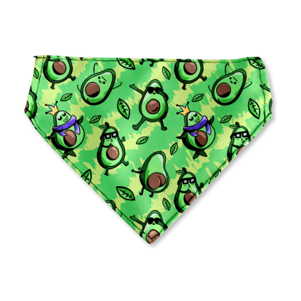 bandana-partypalta-front