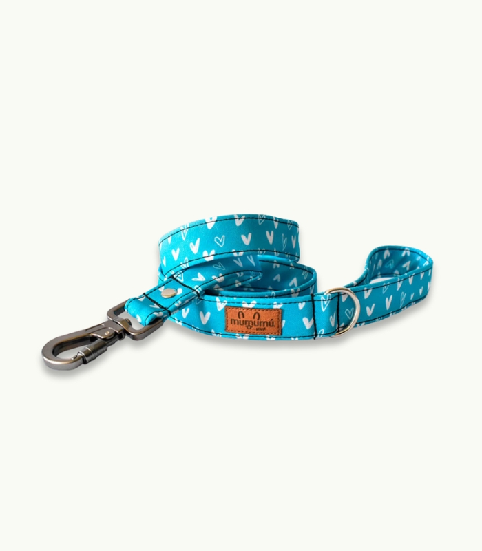 Super Correa de paseo para perros | Crush Calipso - Imagen 3