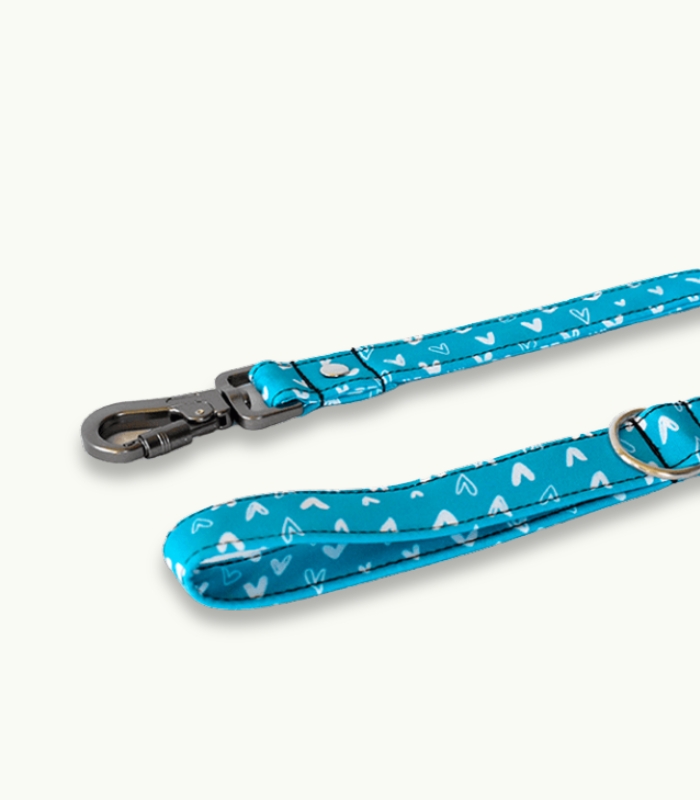 Super Correa de paseo para perros | Crush Calipso - Imagen 2