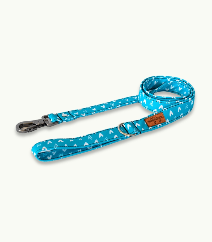 CORREA DE PASEO CRUSH CALIPSO Super Correa de paseo para perros | Crush Calipso - Imagen 1