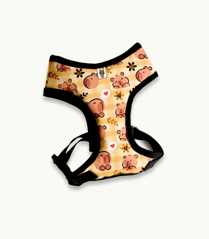 Arnés Pechera | Capybara - Imagen 1