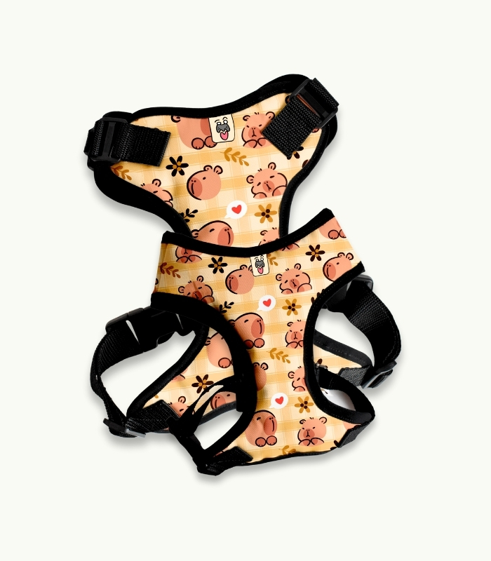 Arnés Pechera | Capybara - Imagen 1