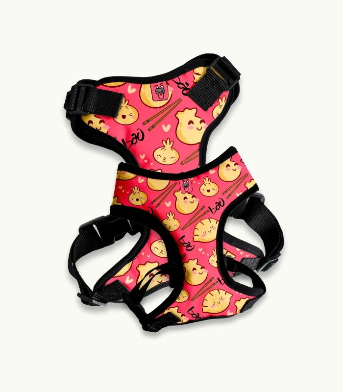 Arnés Pechera | Dyozas - Imagen 1