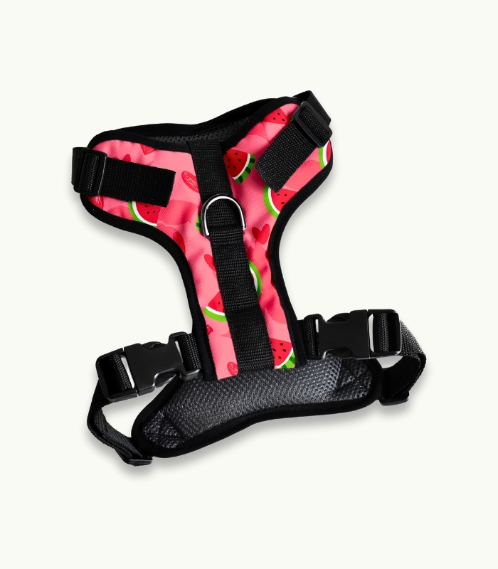 Arnés Pechera | Watermelon - Imagen 4