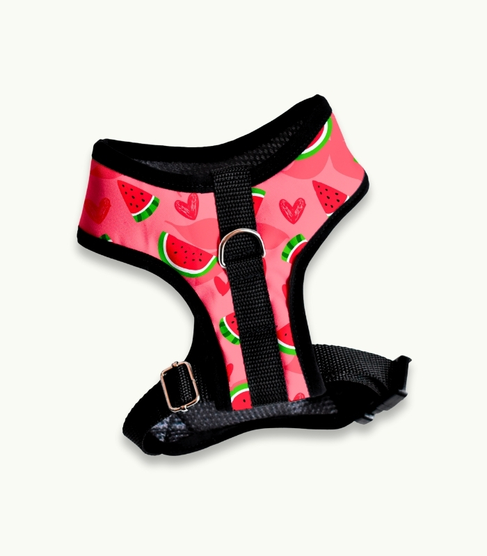 Arnés Pechera | Watermelon - Imagen 3