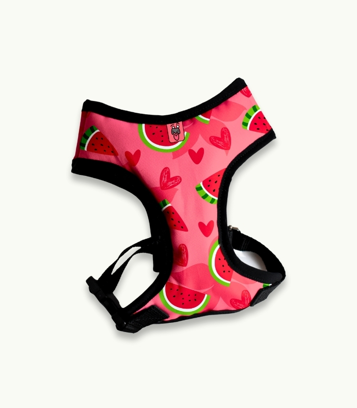 Arnés Pechera | Watermelon - Imagen 1
