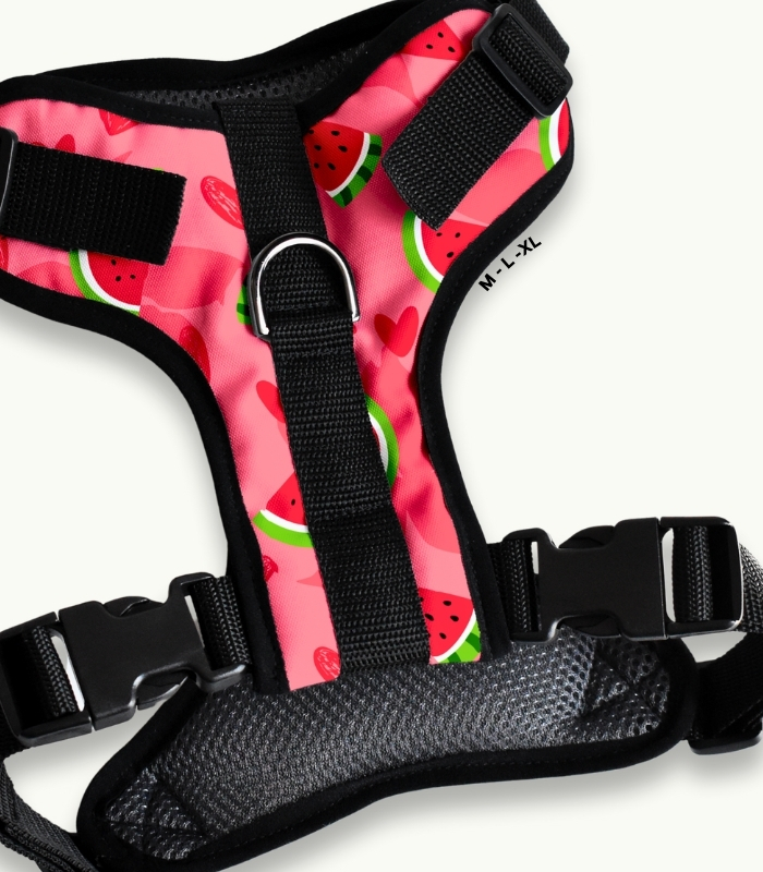 Arnés Pechera | Watermelon - Imagen 2