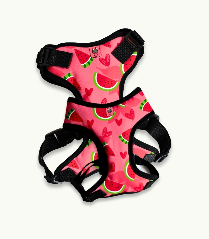 Arnés Pechera | Watermelon - Imagen 1