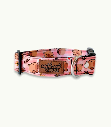 Collar | Capybara Pink