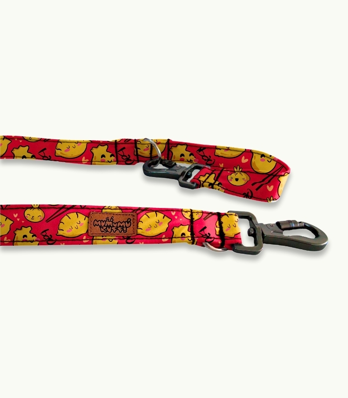 Correa de paseo para perro | Dyozas - Imagen 2