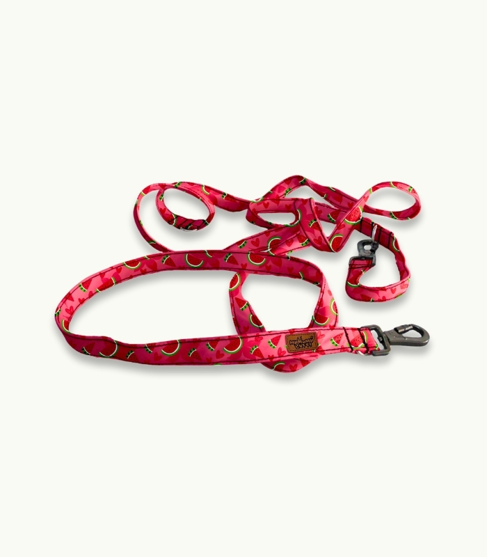 Correa de paseo para perro | Watermelon - Imagen 3