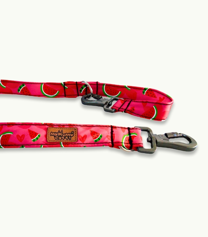 Correa de paseo para perro | Watermelon - Imagen 2