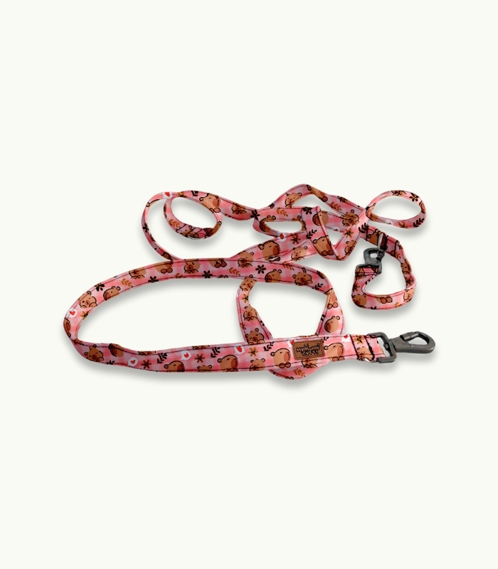 Correa de paseo para perro | Capybara Pink - Imagen 3