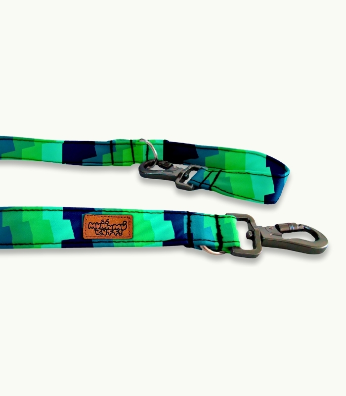 Correa de paseo para perro | Fresh - Imagen 4