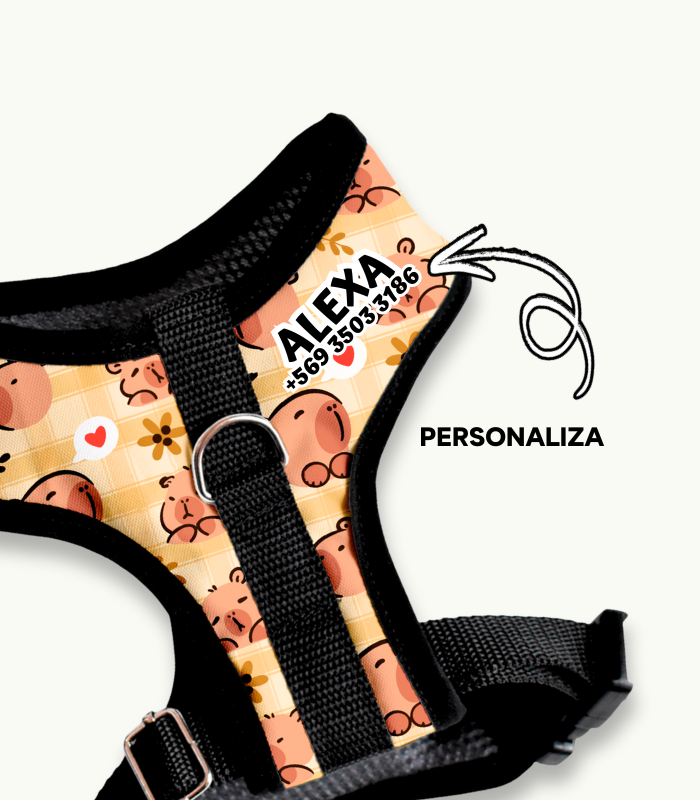 Arnés Pechera | Capybara - Imagen 5