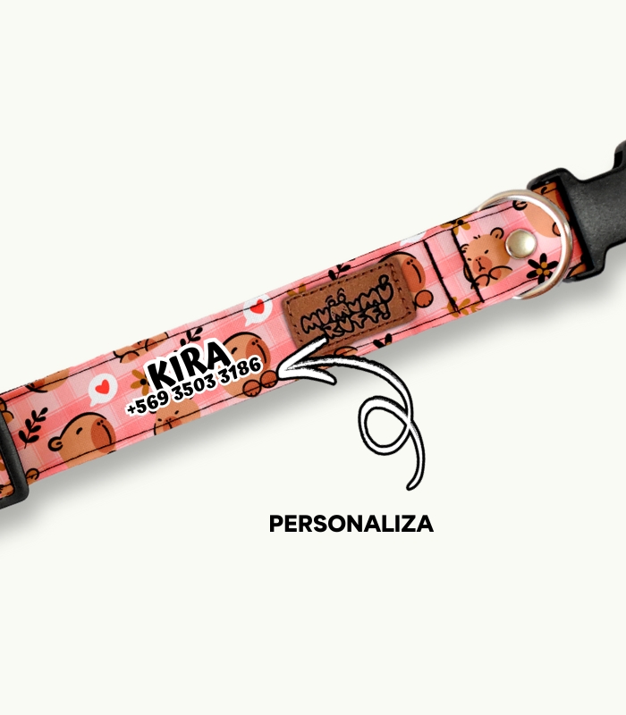 Collar | Capybara Pink - Imagen 4