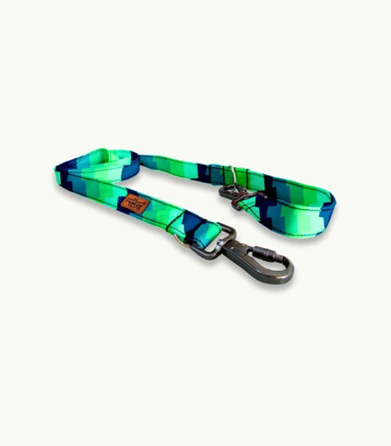 Correa de paseo para perro | Fresh